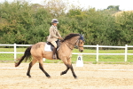 SBM_001436