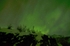 "Northern Lights"