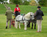Attelage -1051