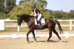SBM_006784