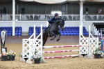 SBM_000646