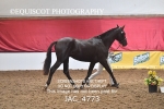 JAC_4773