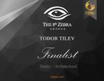 8th Zebra International Black and White Photography Awards_Titanic_Arc