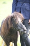 20260426-3212