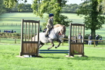 S30 - Nursery Stakes Working Hunter Pony portfolio