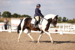 SBM_08015