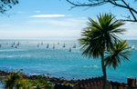 z3637 Yachts from Steephill Cove