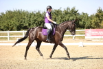 SBM_006598
