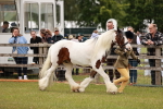 SBM_06037