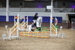 SBM_001335