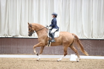 SBM_002383