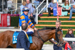080925-Race 4-Zain Blue-7645