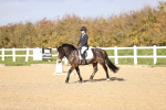 SBM_000981