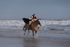 Ride like the wind