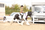 SBM_05178