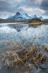 Ben Loyal