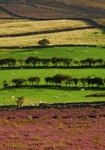 Bwlch y Mawn