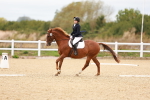 SBM_001375