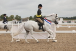 SBM_02033