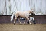 SBM_5454