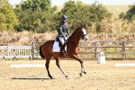 SBM_001359