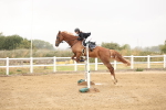 SBM_023989