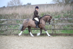 SBM_006025