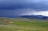 Bucegi Mountains, Prahova County, Romania