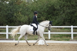 SBM_004241