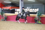 SBM_06017