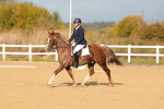 SBM_009280