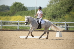 SBM_009698