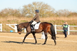 SBM_003752