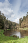 Spring at Soudley Ponds