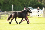 SBM_00692