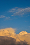 ACP_8306-1