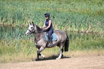 WJ7_8128