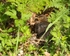 20110615-IMG_5884