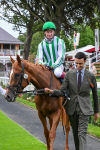 250725-Race 5-Sand Gazelle-0762