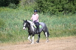 WJ7_8006