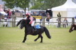 SBM_10198