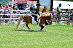 SBM_05814