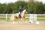 SBM_018503