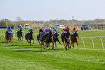 080426-Race 5-Free Pic-0566