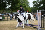 WJ6_5313