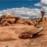 2nd Print-Toadstool Rock-Roy Peters