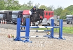 BPP_9118