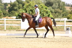 SBM_003725