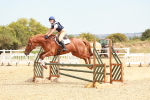 SBM_004313