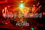 Peppered Ant Legs-119